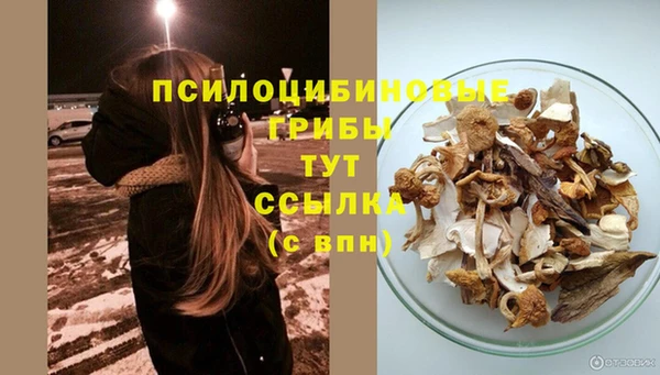MDMA Premium VHQ Няндома
