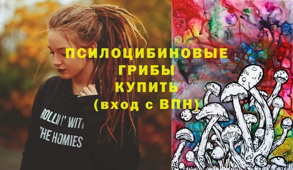 шишки Новокубанск