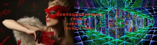 каннабис Новозыбков