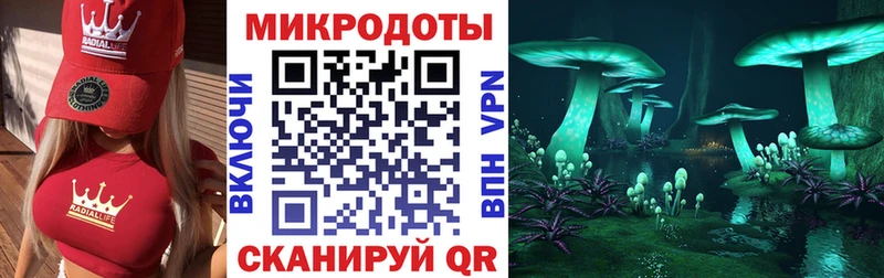 наркошоп  Берёзовка  Псилоцибиновые грибы мицелий 